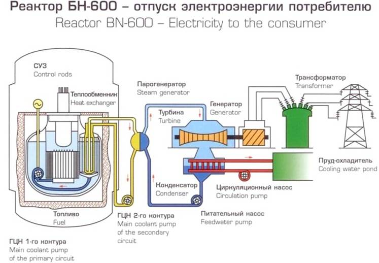 Рисунок 15. Схема жидкометаллического реактора-размножителя на быстрых нейтронах (ЖМБН) или АЭС на быстрых нейтронах (российский БН-600) (РОСЭНЕРГЕТОМ, 2004) (предоставлено РОСЭНЕРГЕТОМ).